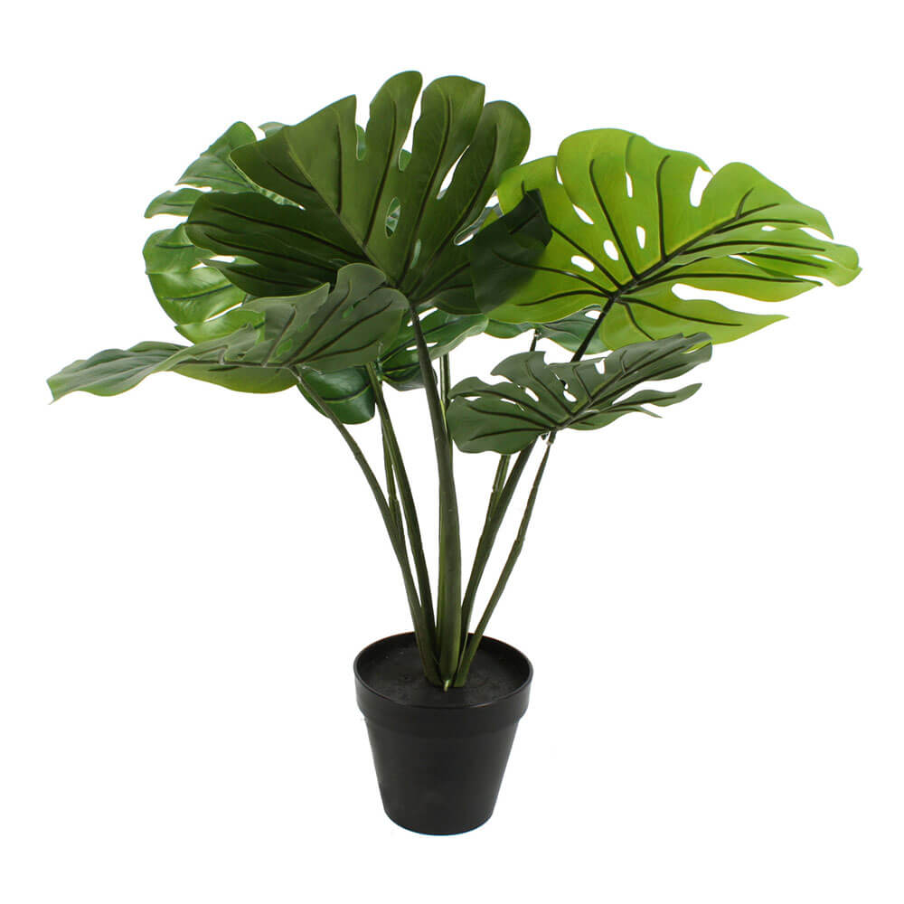 Plante i pot 60 cm