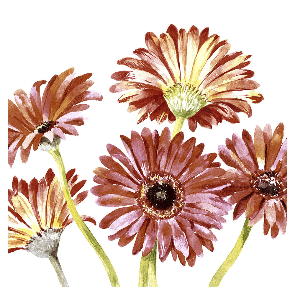 Papier + Design Gerbera Luncheon Napkins