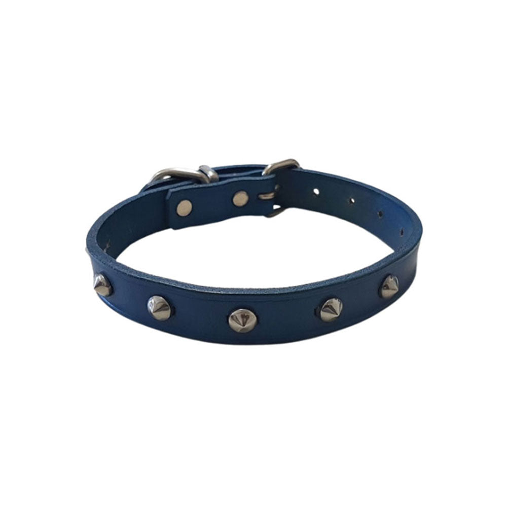 Collar in pelle per borchie (blu)