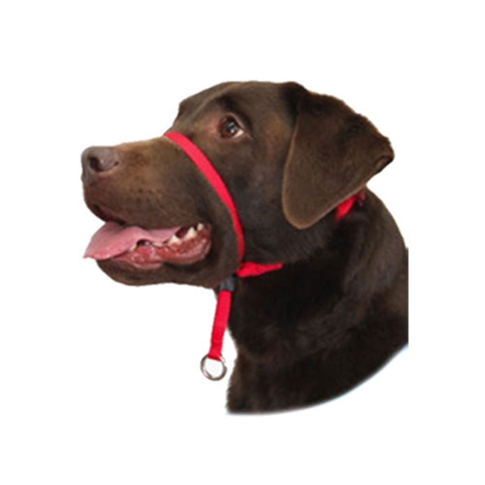 Skånsom leder Dog Head Collar