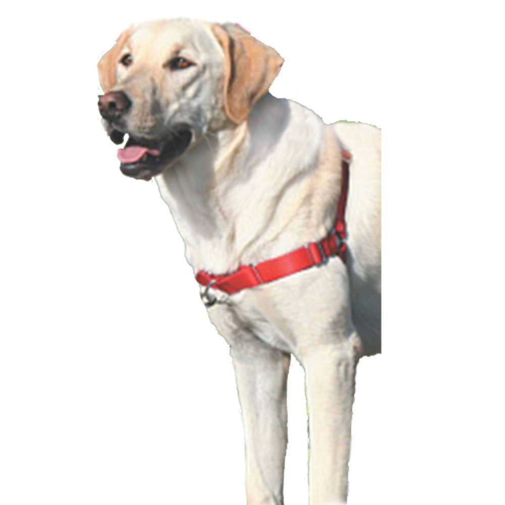 Gentle Leasder Easy Walk Dog Harness