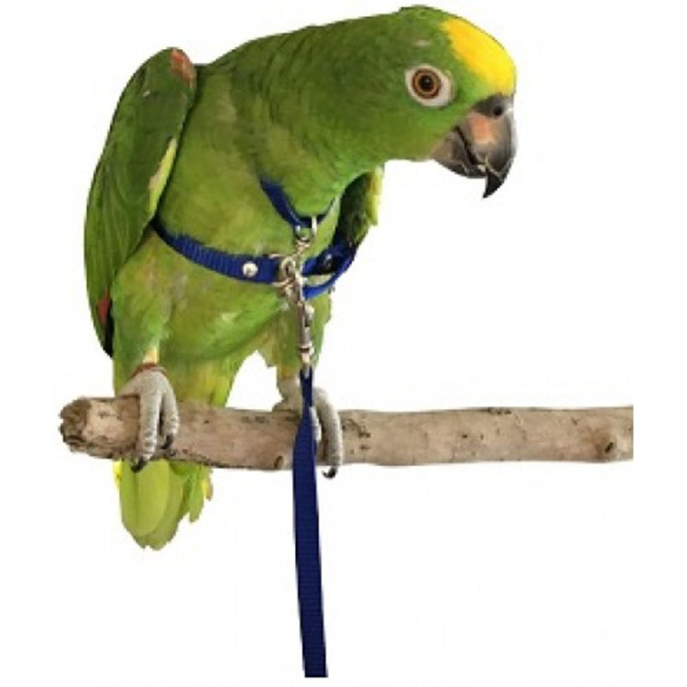 Pet Bird Harness