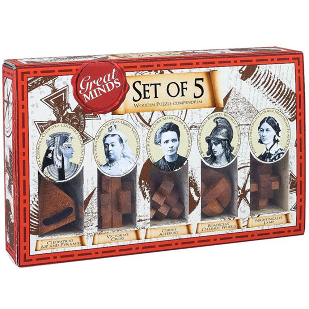 Great Minds Wood & Metal Brazeaser Puzzle 5pcs