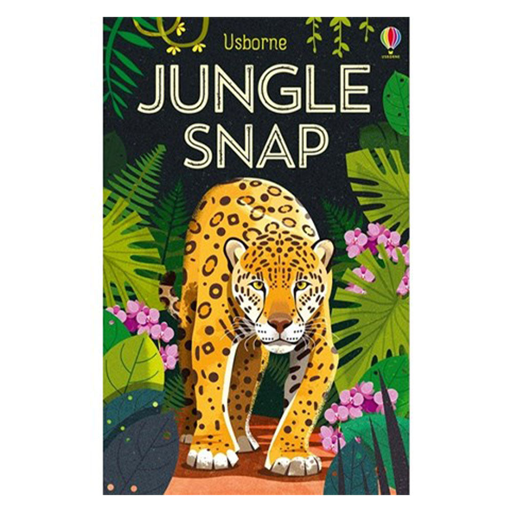 Usborne Snap Card Game