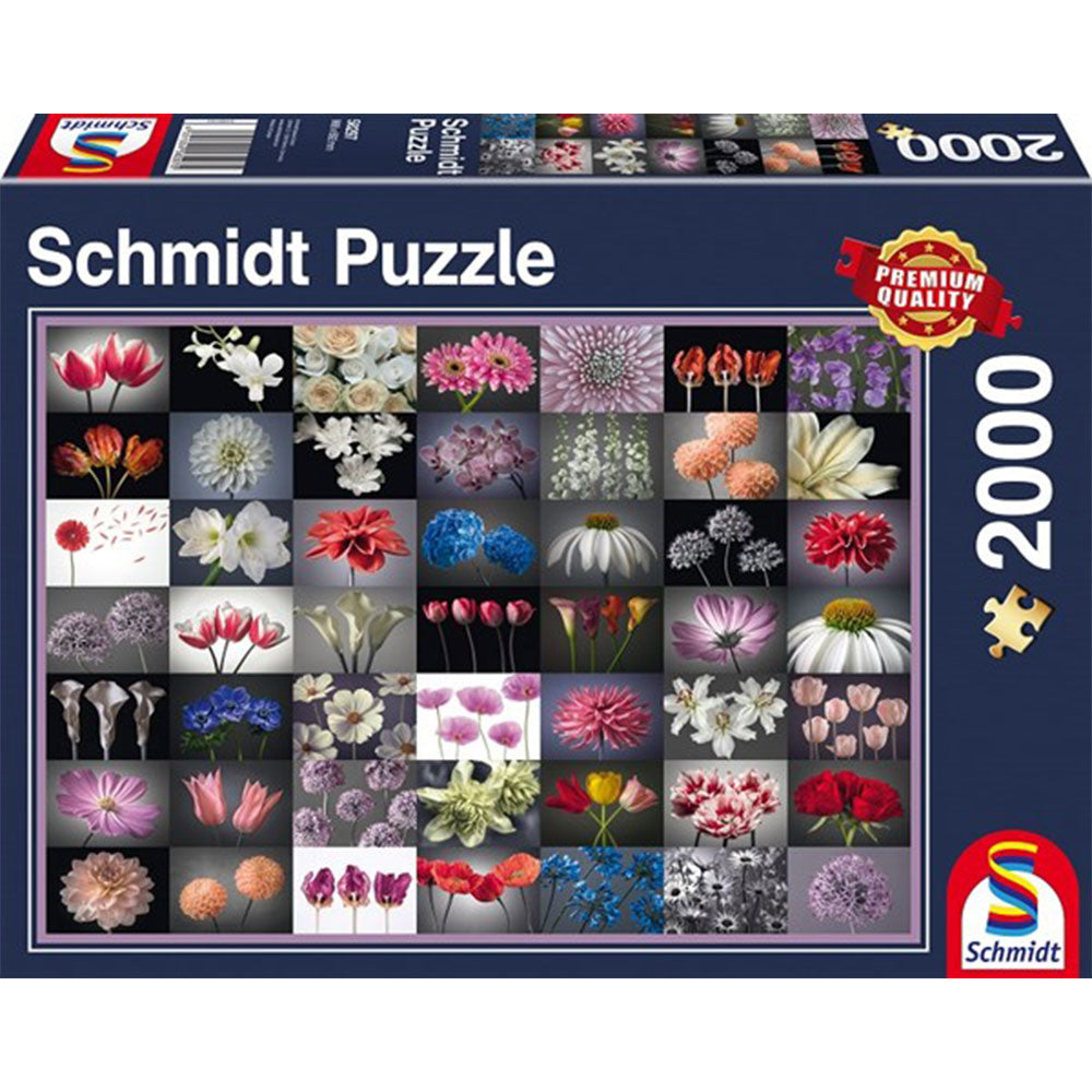 Schmidt Jigsaw Puzzle 2000pcs