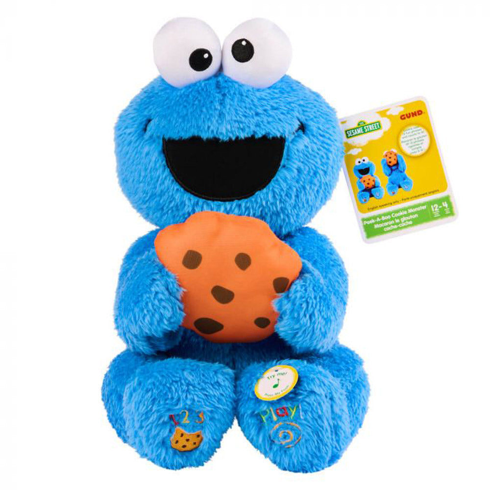 Sesame Street Animated Peek-A-Boo Cookie Monster