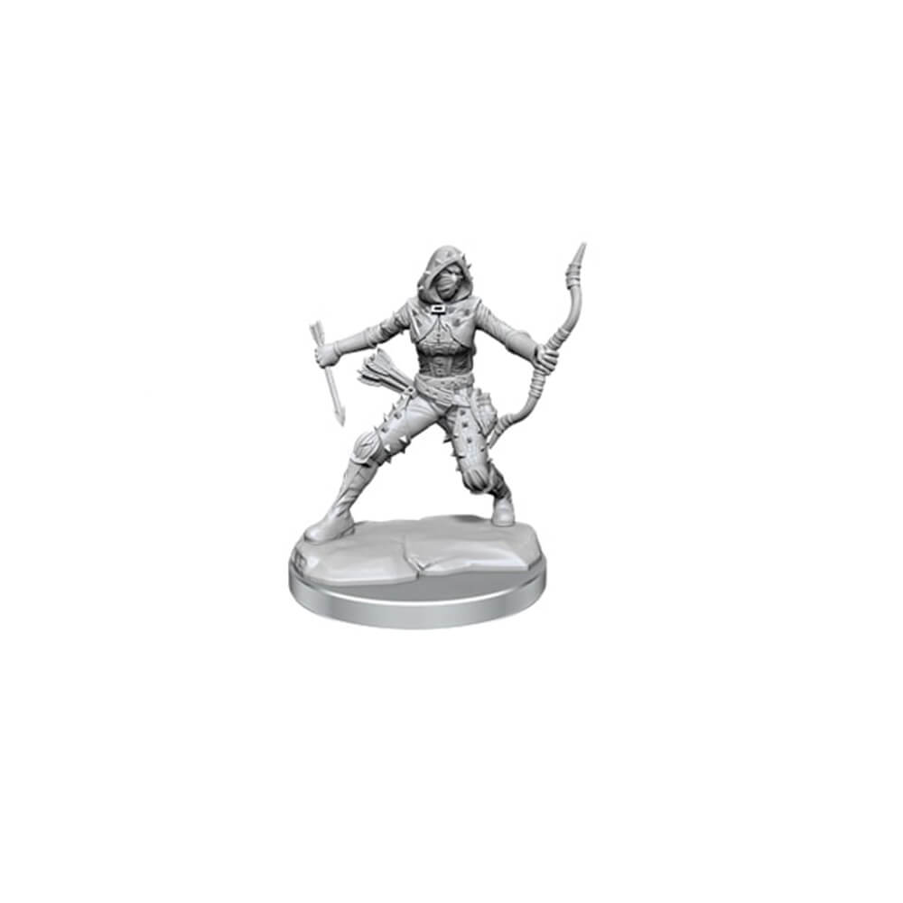 D&D Frameworks Miniaturowy zestaw modeli