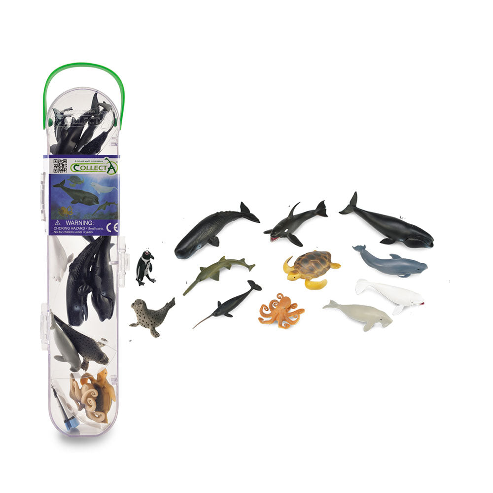 Collecta Marine Figures i Tube Gift Set (Pack of 12)