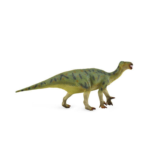 CollectA Iguanodon Dinosaur Figure