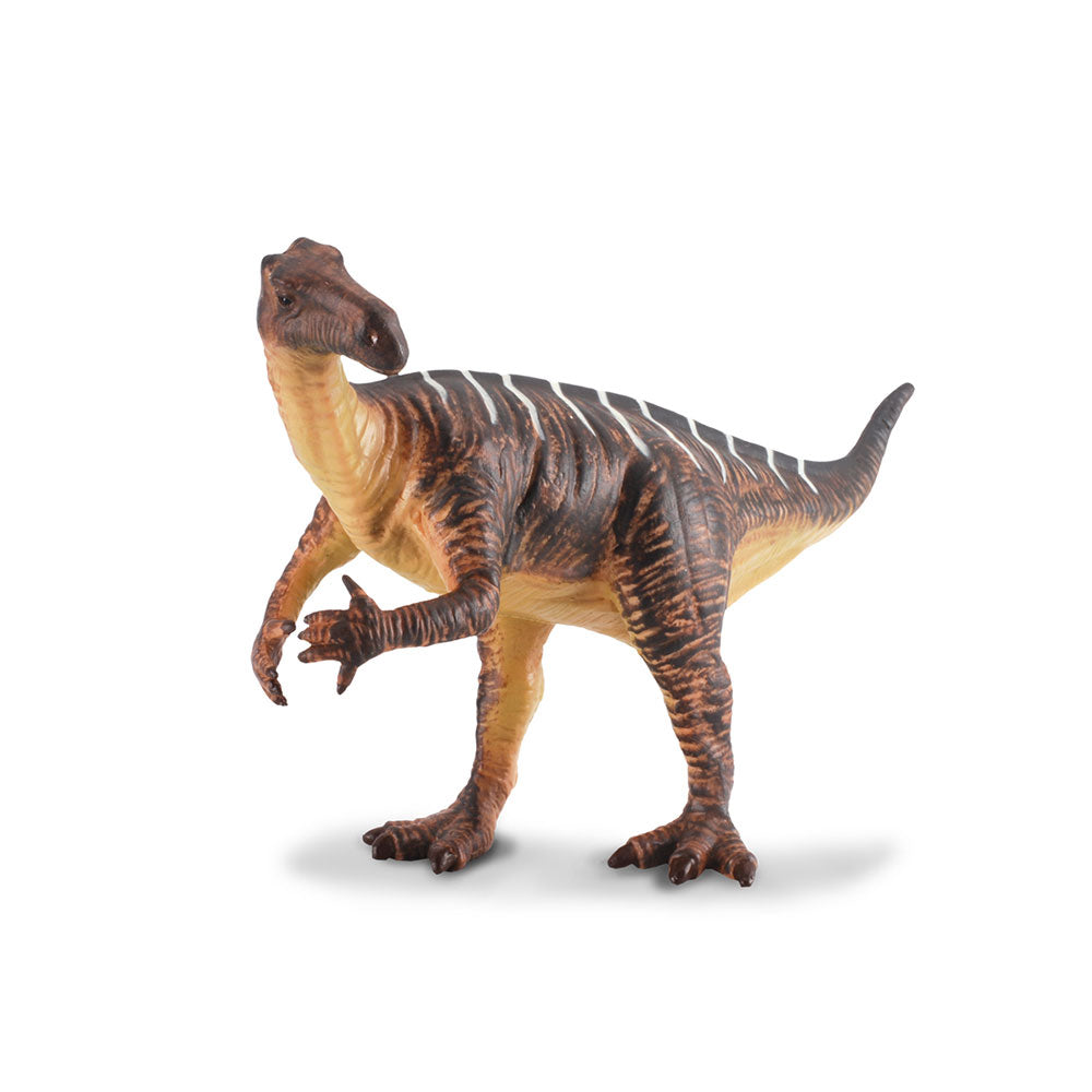 CollectA Iguanodon Dinosaur Figure