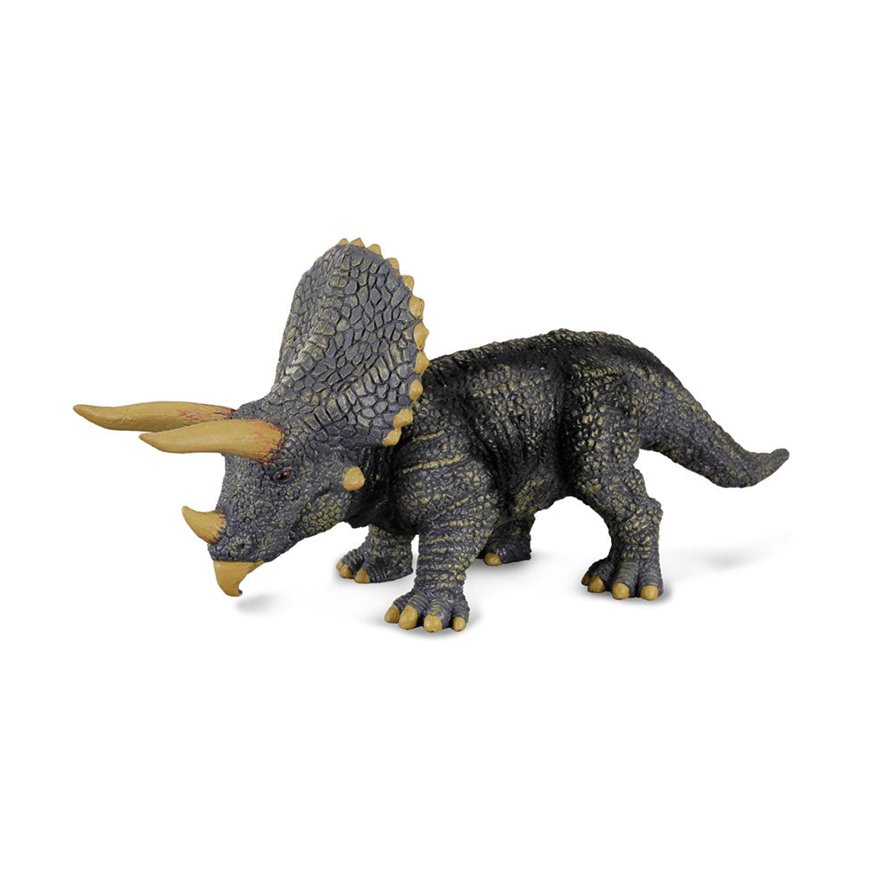 Collecta triceratops dinosaurus figuur