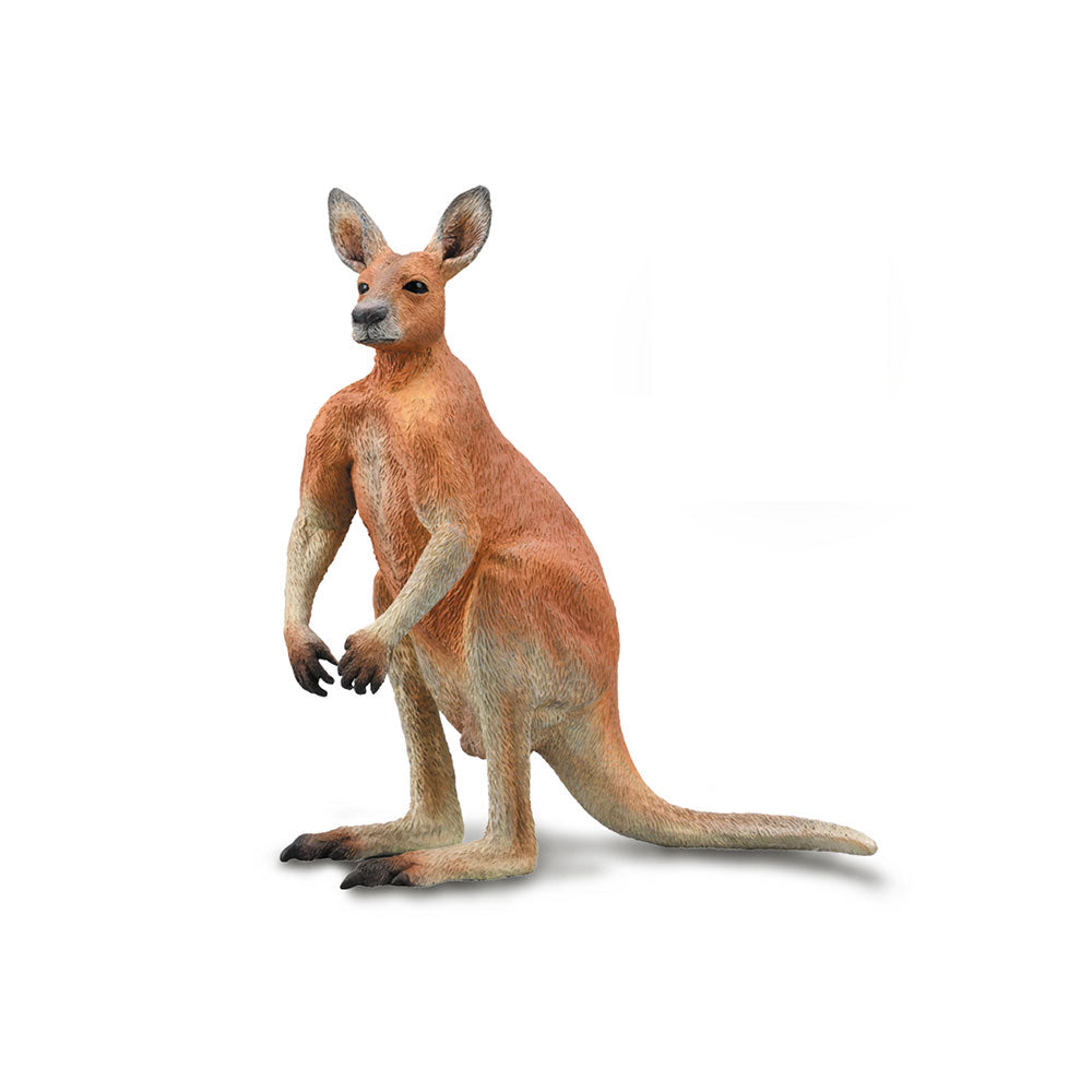 CollectA Red Kangaroo (Large)