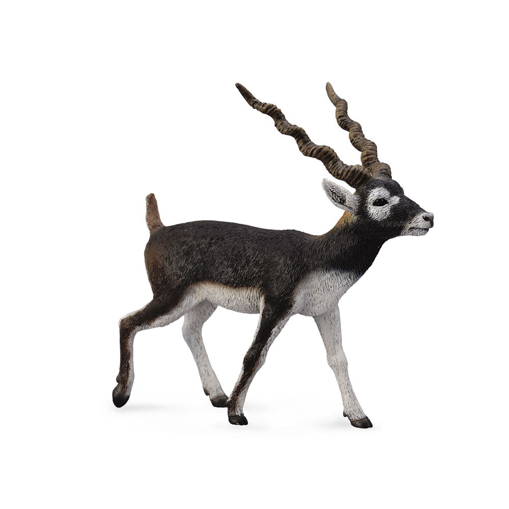 CollectA Blackbuck Figure (Large)