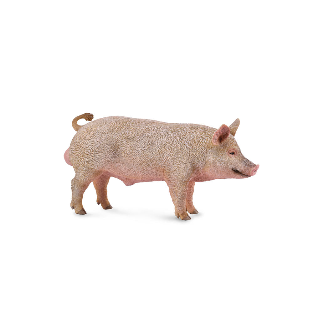  CollectA Schweinefigur (mittel)