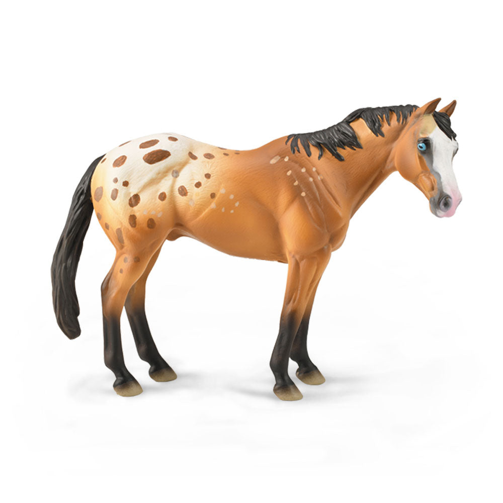 Kolekta Appaloosa Stallion Rysunek (XL)