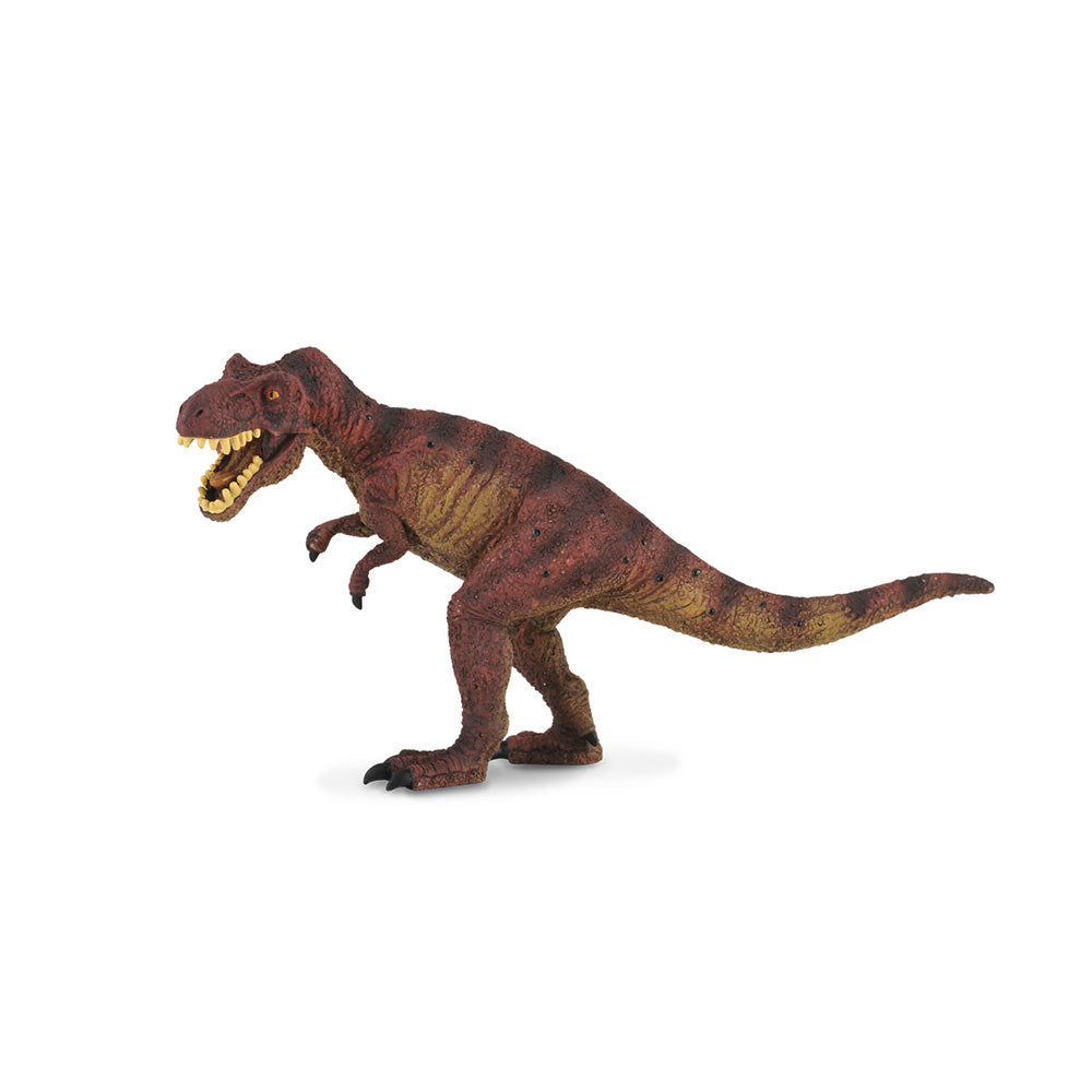 CollectA Tyrannosaurus Rex Dinosaur Figura (grande)