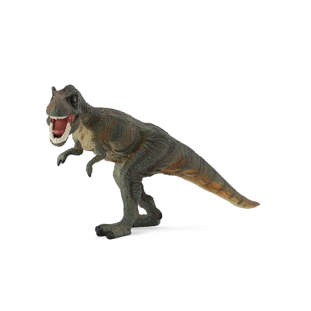 Collecta Tyrannosaurus Rex Dinosaur Figure (grand)