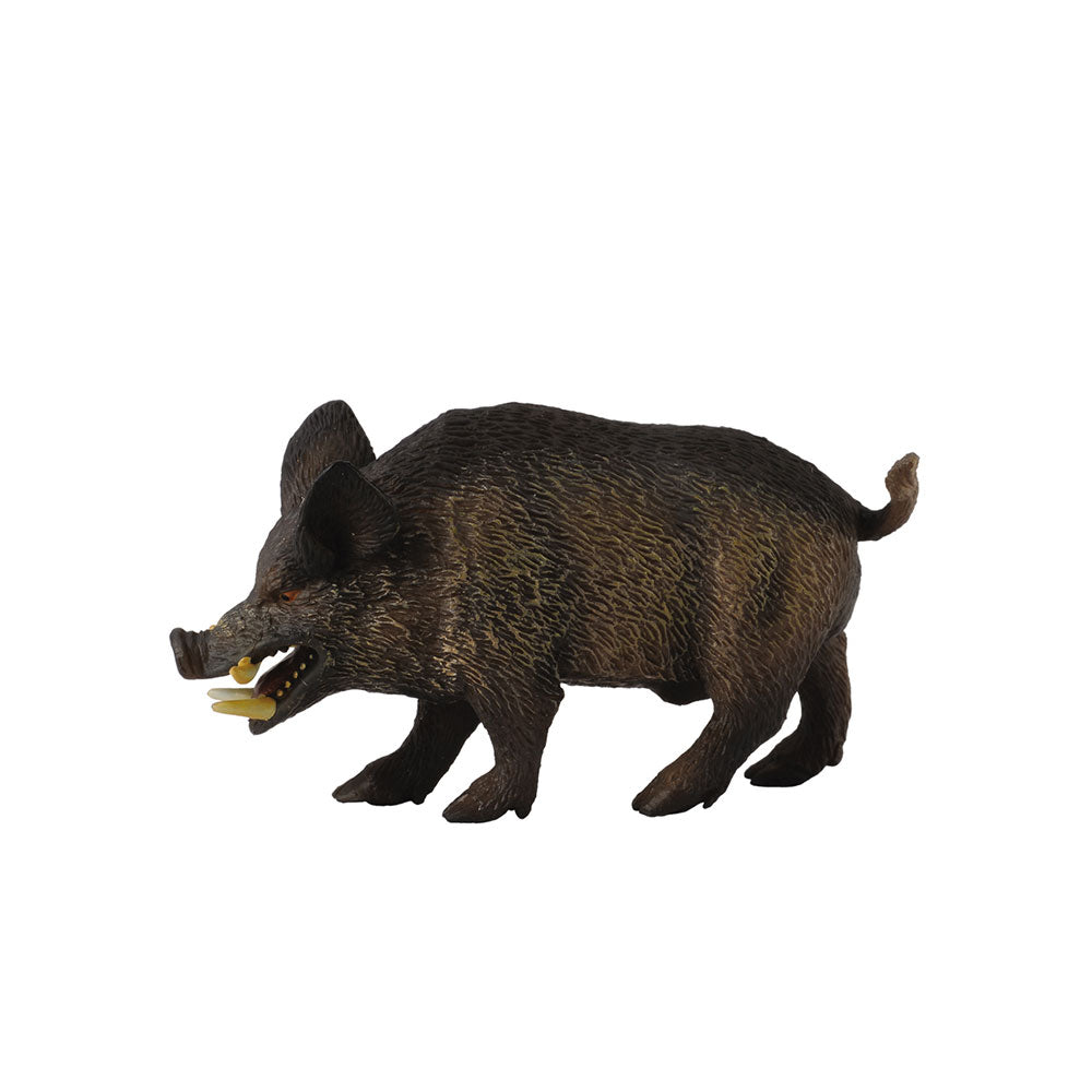 Collecta Wild Pig Figura (medio)