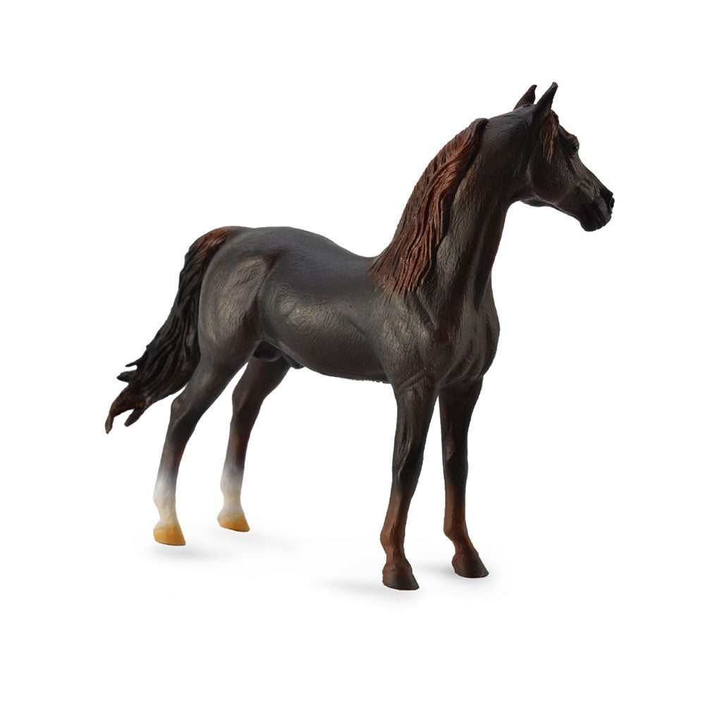 CollectA Morgan Stallion Figure (Extra Large)