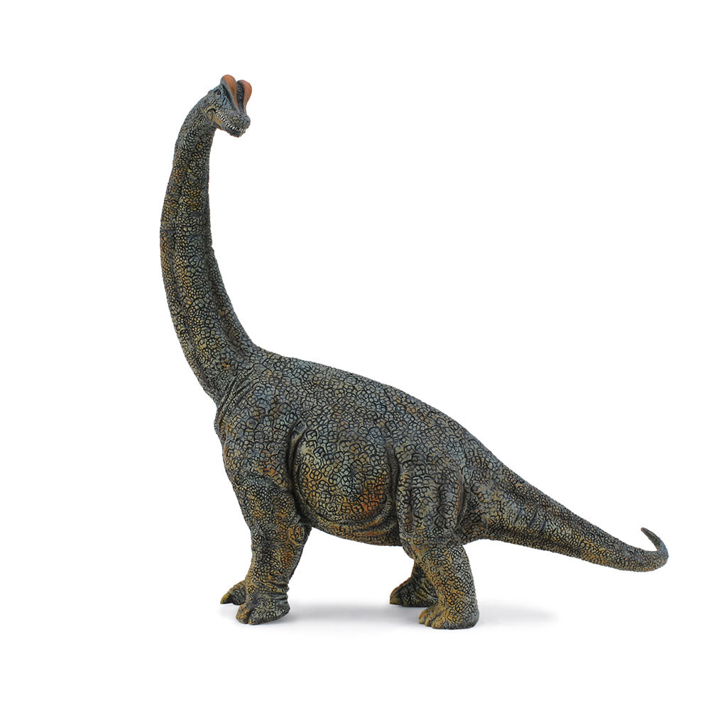 Figure de dinosaure Collecta Brachiosaurus