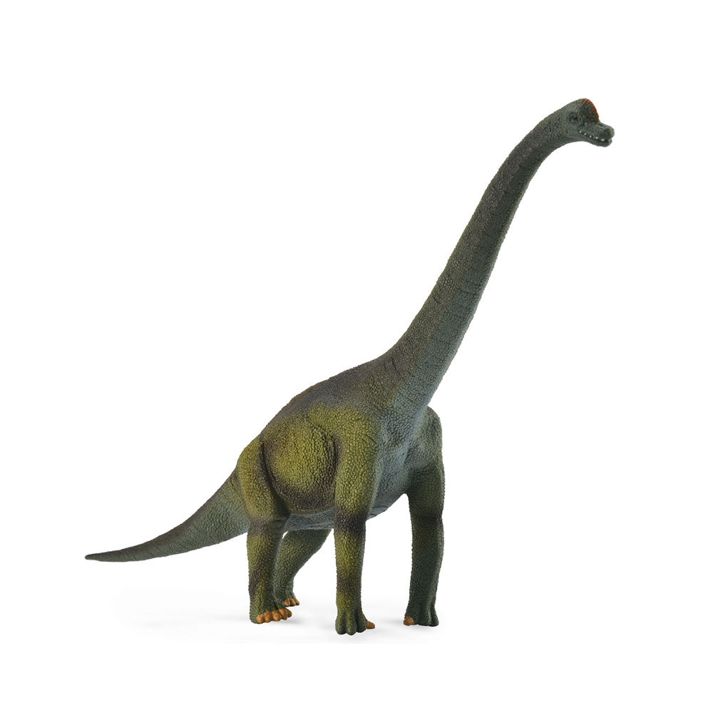 Collecta brachiosaurus dinosaurus figuur