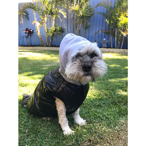 Premium Pet Jacket (30/40cm)