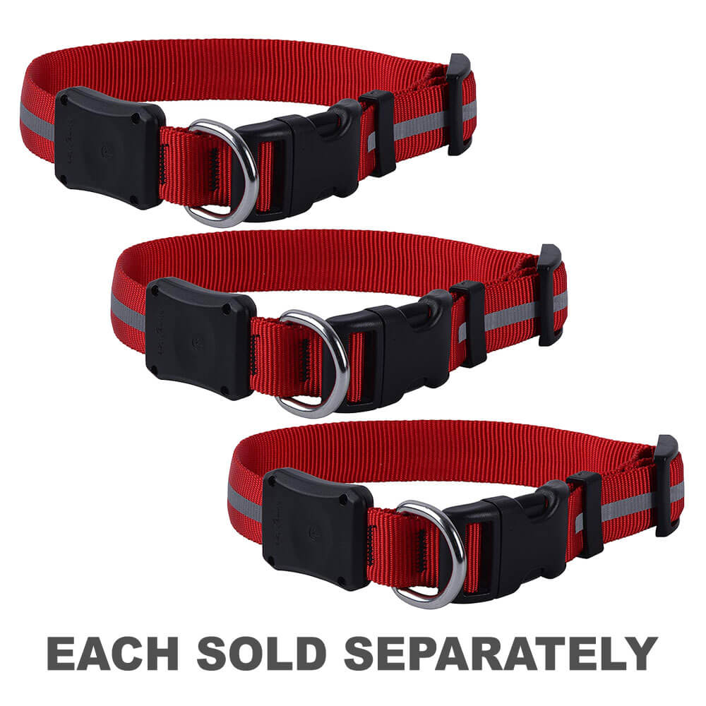 Nite Dawg Red LED Dog Collar