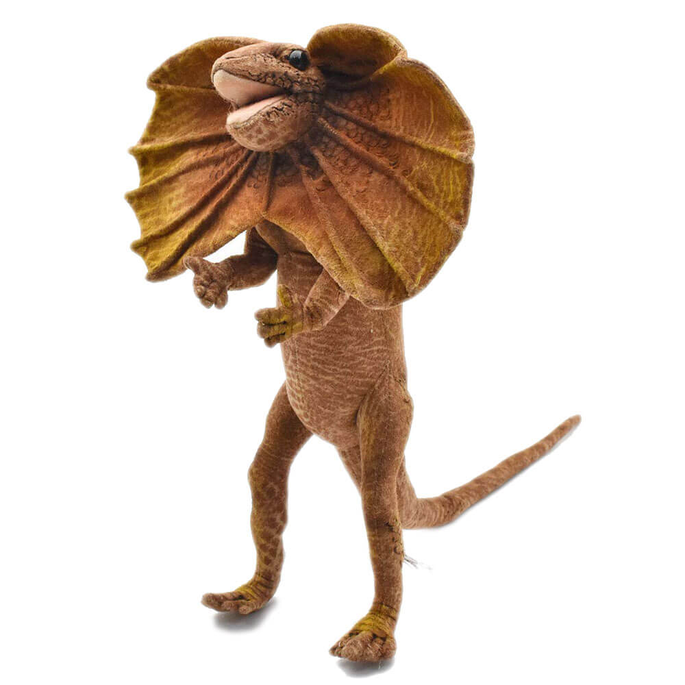 Hansa Frilled Neck Lizard (40cm)