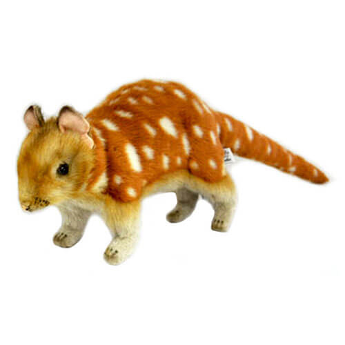 Hansa Quoll Plush (57cm L)