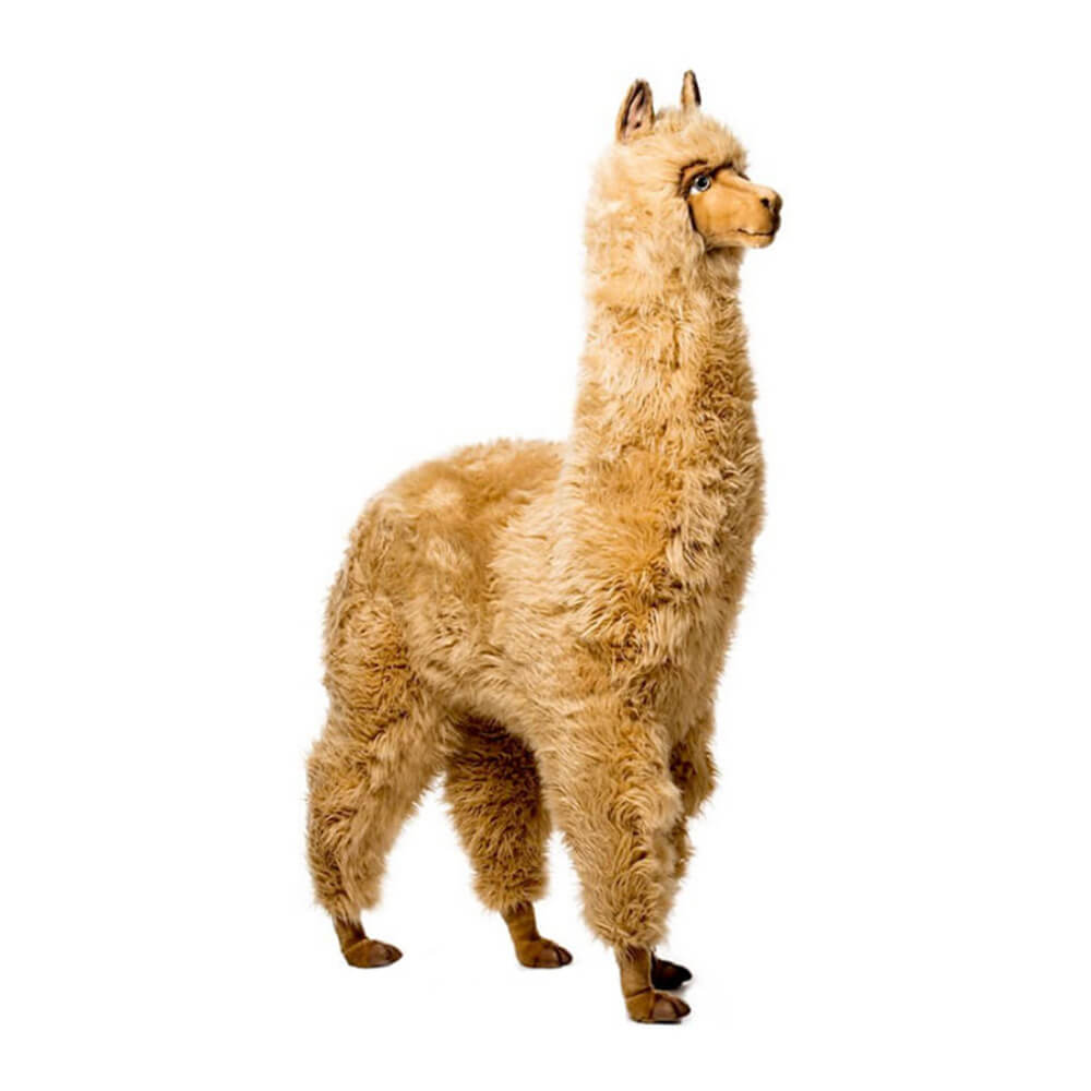 Alpaca Brown (165cm H)