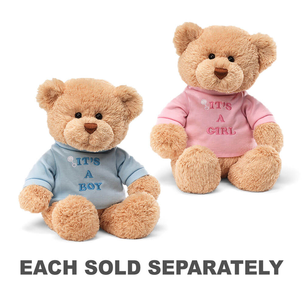 Gund Message Bear