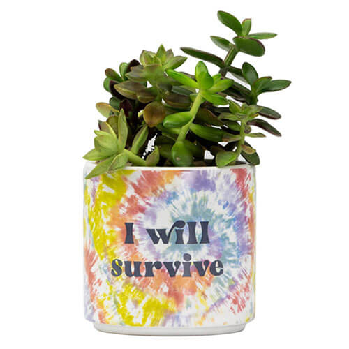 Tie Dye Planter (Small)