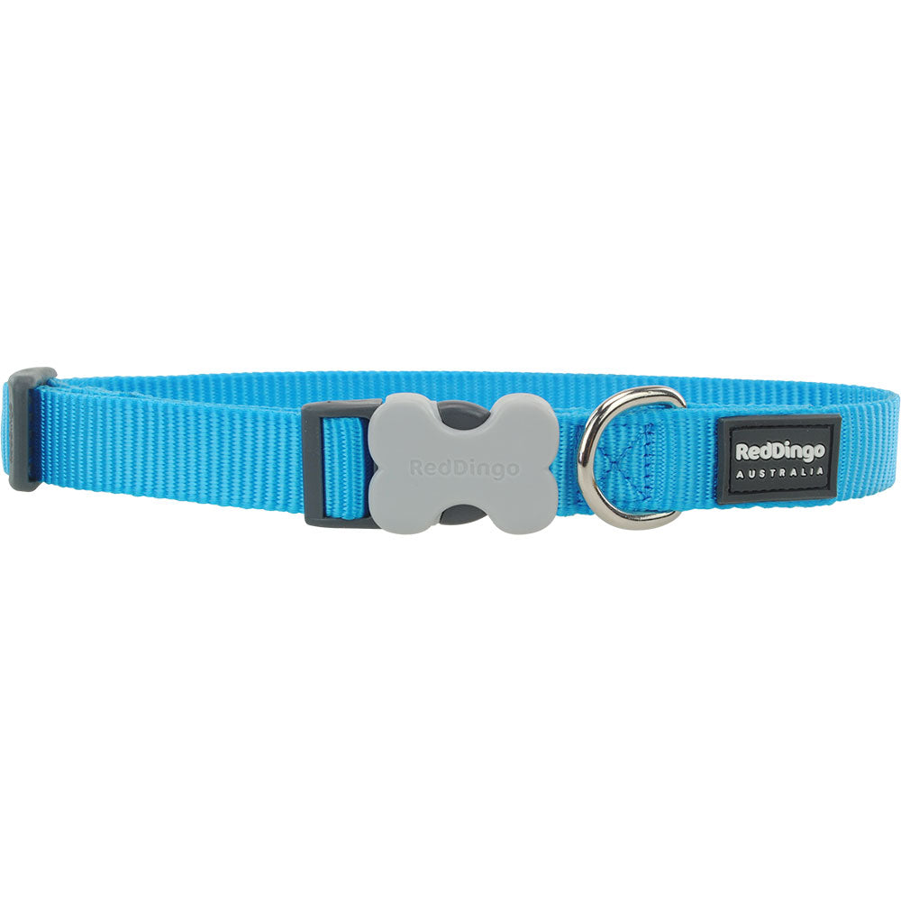 Collier de chien classique (turquoise)