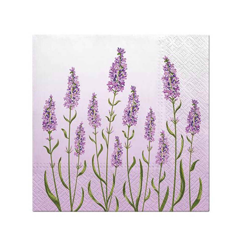 Pew Lavender Lunch Simpkin 33 cm (20pk)