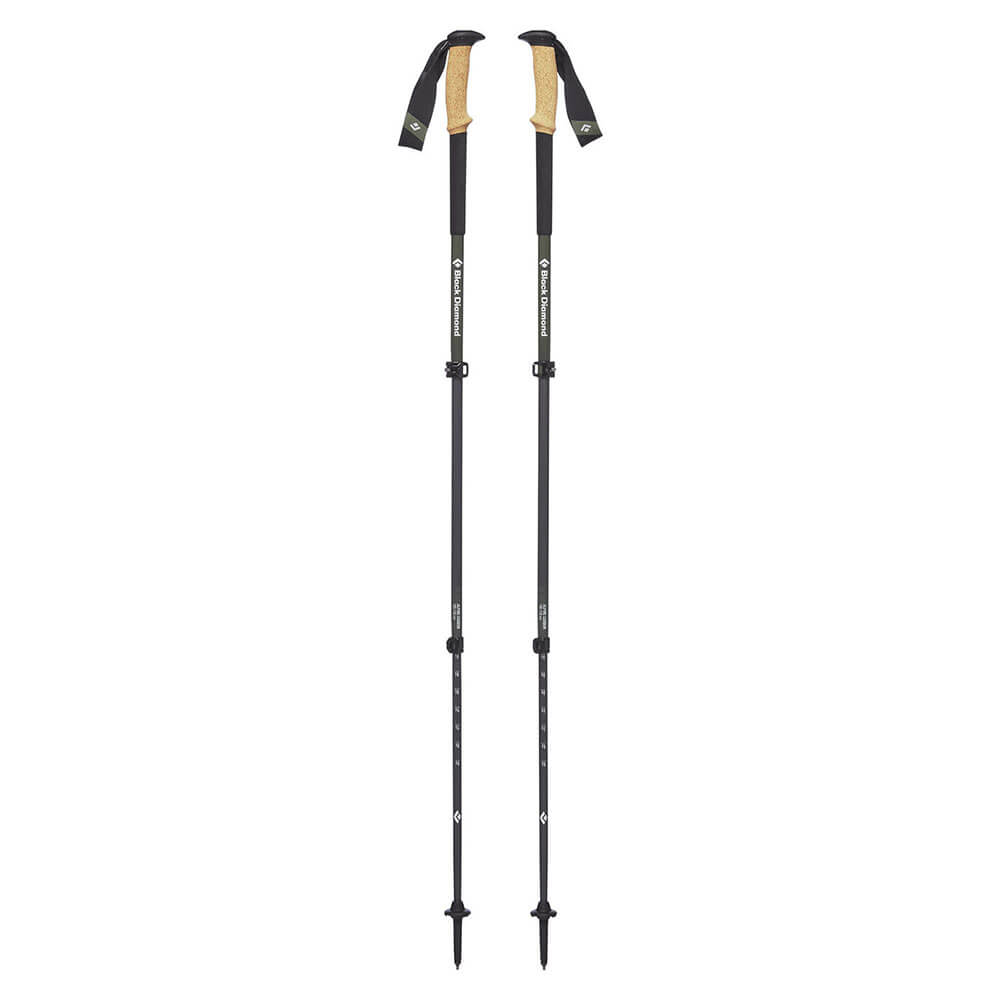 Alpine Carbon Cork S19 Trekking Poles