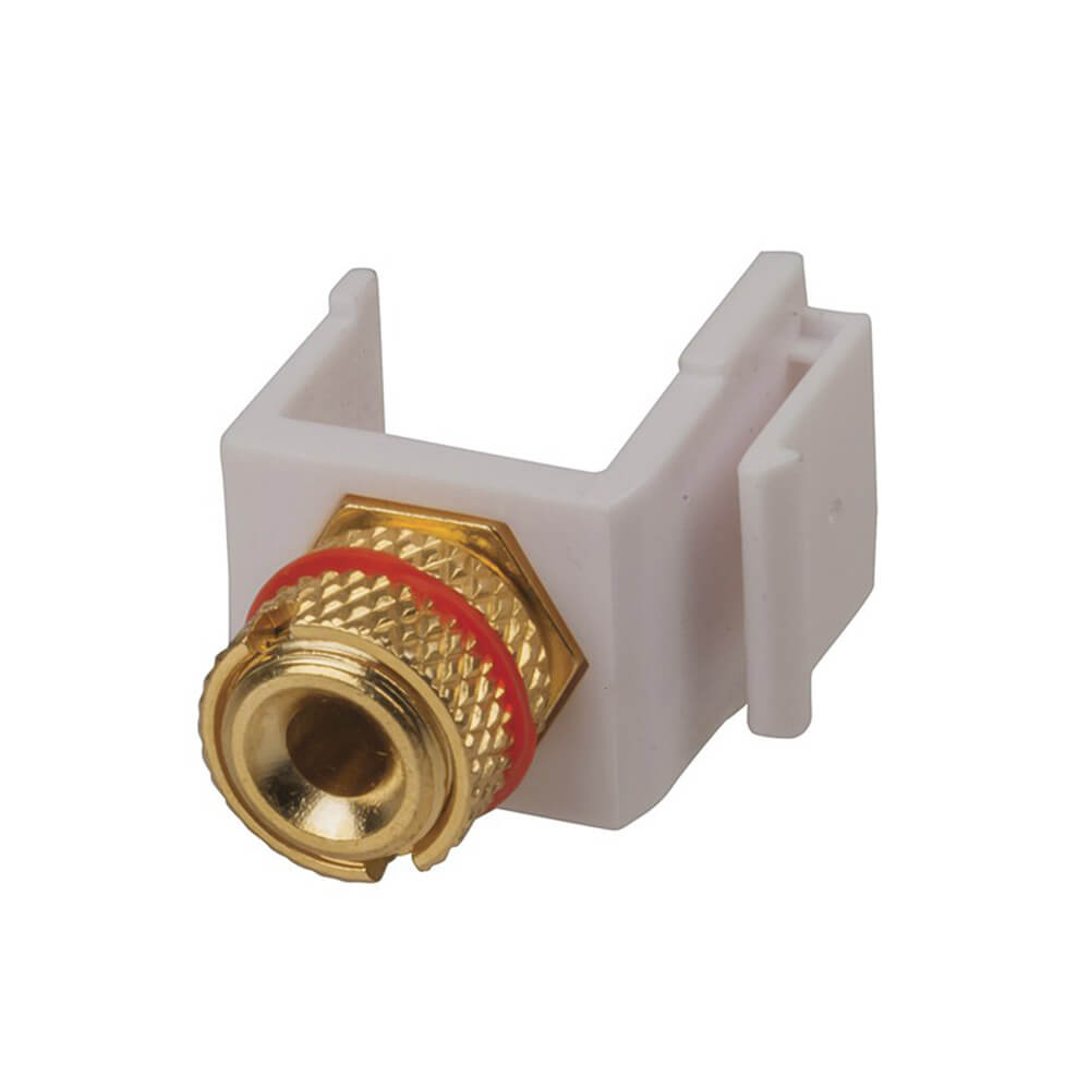 Keystone Insert Banana Socket (oro)