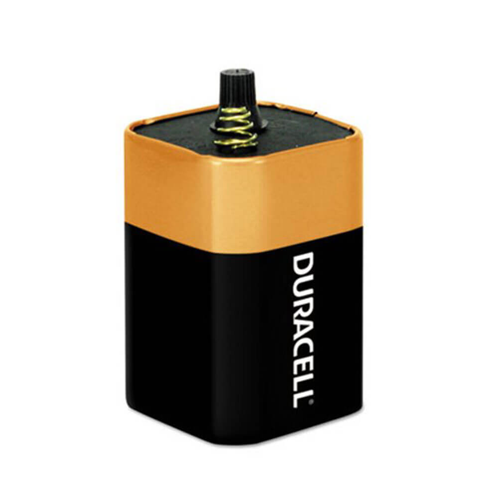 Batterie alcaline Duracell